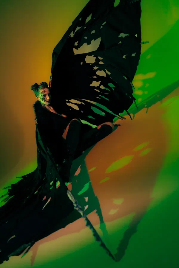 Butterfly 4